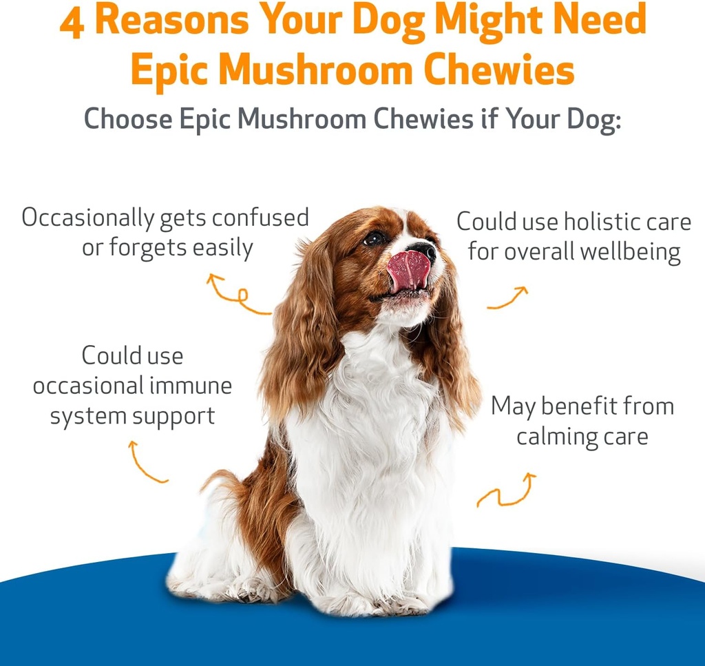 pet-wellbeing-epic-mushroom-chewies-for--3.jpg