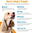 pet-wellbeing-epic-mushroom-chewies-for--5.jpg