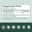 purepremium-saw-palmetto-500-mg-for-menw-6.jpg