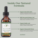 native-remedies-focus-formula-3.jpg
