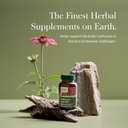 gaia-herbs-echinacea-supreme---immune-su-2.jpg
