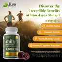 jiva-botanicals-pure-shilajit-from-the-h-2.jpg