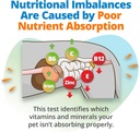 5strands-pet-nutritional-imbalance-test--4.jpg