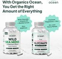 organics-ocean-wild-sea-moss-capsules-an-3.jpg