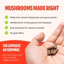freshcap-mushrooms-wellness-duo-reishi-1-6.jpg