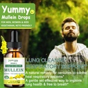 mullein-drops-for-lungs-lung-detox-clean-4.jpg