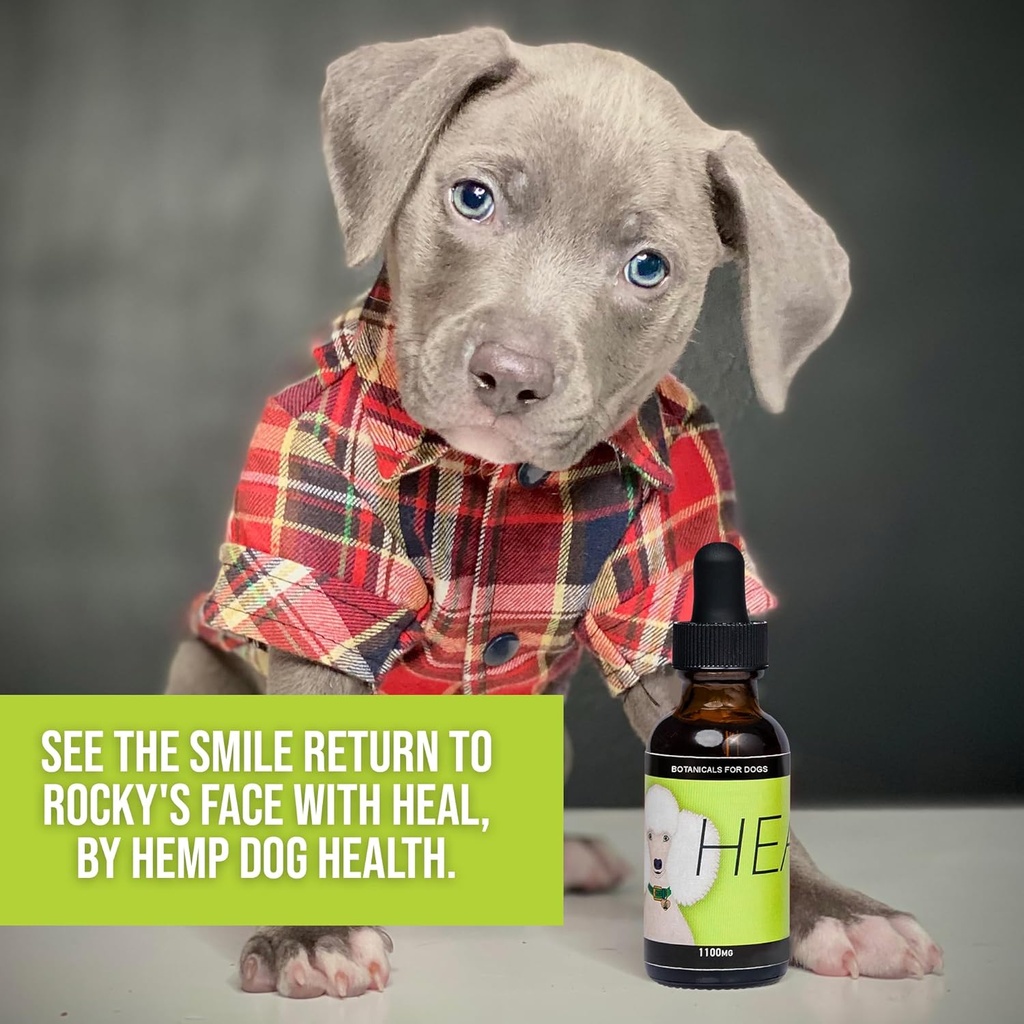 heal---pet-hemp-oil-for-dogs---immune-sy-6.jpg