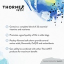 thornevet-canine-geriatric-basics-senior-4.jpg