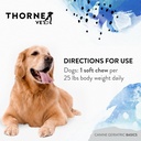 thornevet-canine-geriatric-basics-senior-6.jpg