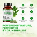 dr-herbalist-moringa-oleifera-extract-30-5.jpg