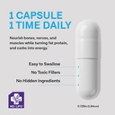 md-life-magnesium-oxide-400mg-capsules---3.jpg