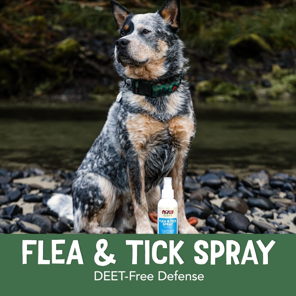 now-pet-health-spray-for-dogs-essential--4.jpg