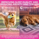 melatonin-for-dogs-anxiety-relief-dog-me-4.jpg