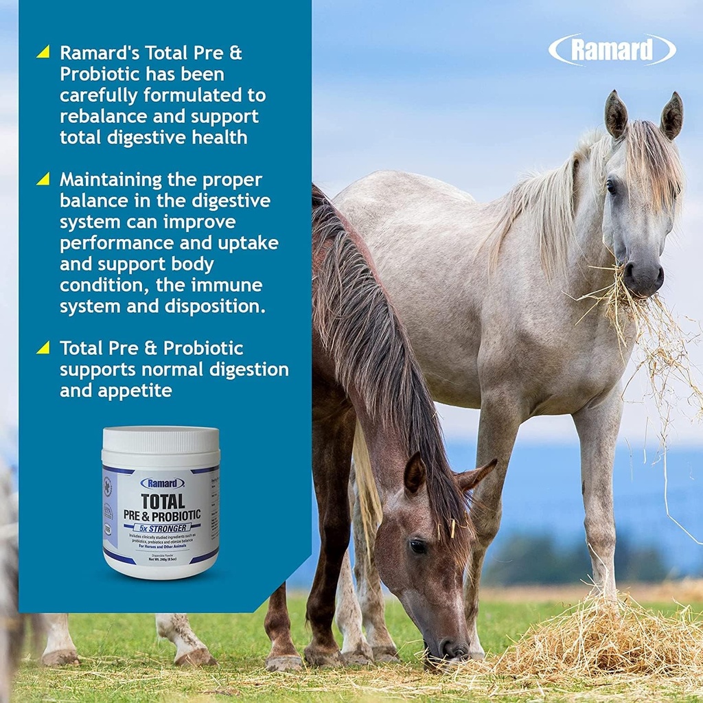 ramard-total-prebiotic-probiotic-equine--2.jpg