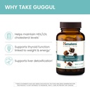 himalaya-guggul-cholesterol-supplement-f-3.jpg