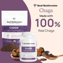real-mushrooms-chaga-mushroom-powder-org-2.jpg