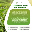 green-tea-101-extract-50-egcg---green-te-5.jpg