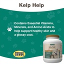naturvet-kelp-help-powder-4-lbs-5.jpg