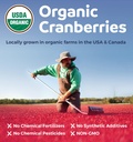 organic-cranberry-pills---501-concentrat-4.jpg