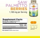 natures-life-saw-palmetto-berries-1160-m-2.jpg