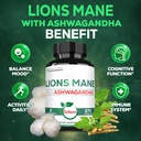 satoomi-lions-mane-supplement-capsules-w-3.jpg