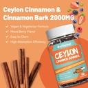 2-pack-sugar-free-ceylon-cinnamon-gummie-6.jpg