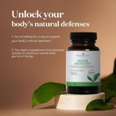 young-living-inner-defense-30-softgels-u-3.jpg