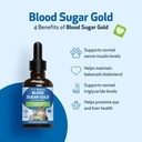 pet-wellbeing---blood-sugar-gold-for-cat-4.jpg