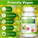 berberine-supplement-1200mg--natural-pla-4.jpg