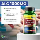 america-medic-science-acetyl-l-carnitine-2.jpg