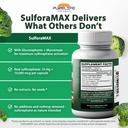sulforamax-60-capsules---sulforaphane-br-4.jpg