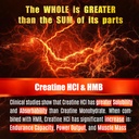 creatine-hcl-capsules-with-hmb---workout-4.jpg