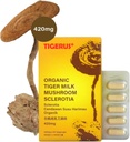 tiger-milk-mushroom-ligno-tm02-lignosus--2.jpg