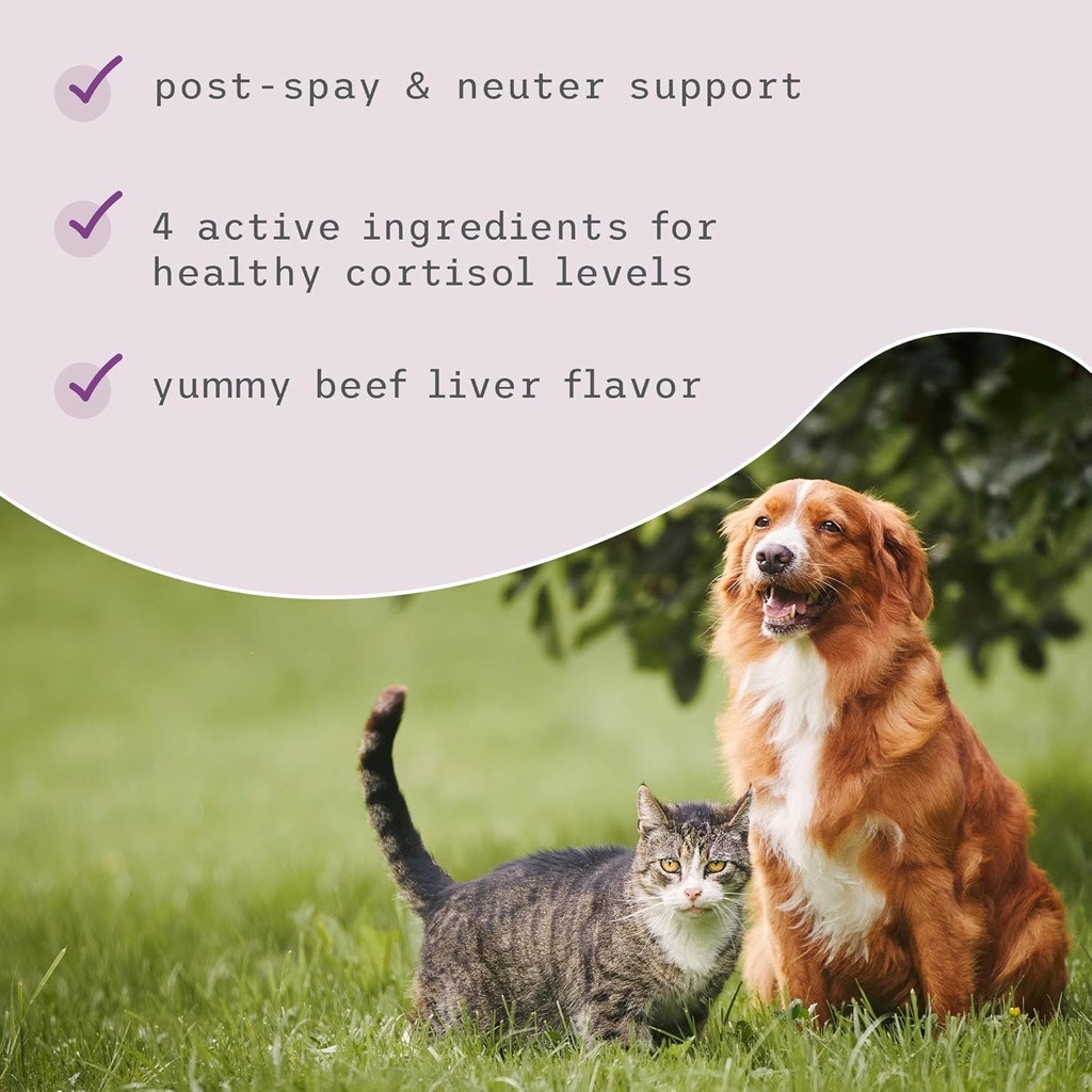 bark-whiskers-adrenal-support-for-dogs-c-5.jpg