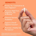 digest-gi-digestive-enzyme---90-x-2-vege-4.jpg