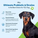 pet-wellbeing---ultimate-probiotic-9-str-5.jpg