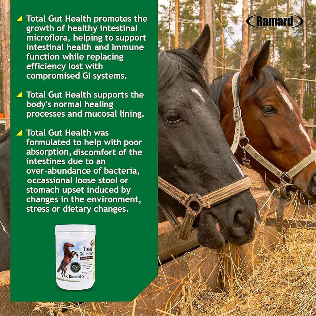 ramard-total-gut-health-equine-digestive-6.jpg
