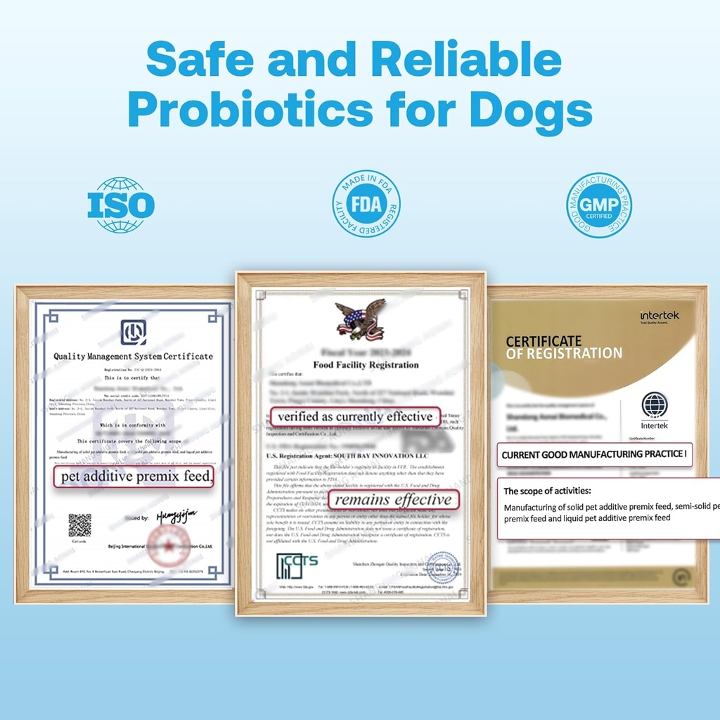 probiotics-for-dogs-with-digestive-enzym-5.jpg