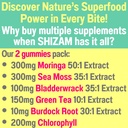 moringa-irish-sea-moss-chlorophyll-egcg--2.jpg