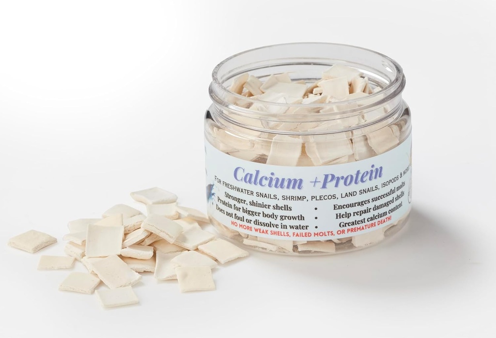 calcium-protein-for-strong-shells-health-2.jpg