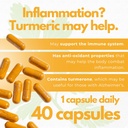 neurobion-turmeric-curcumin-650-mg-herba-5.jpg