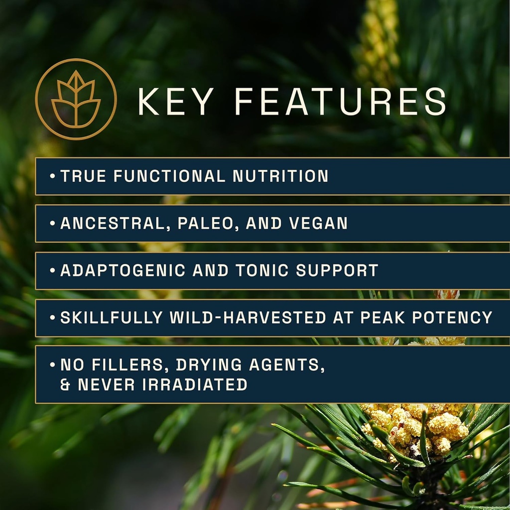 forest-manna-raw-pine-pollen-powder-adap-3.jpg