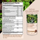 plantfusion-vegan-collagen-powder---plan-4.jpg