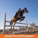 plus--gastric-support-supplement-for-hor-4.jpg
