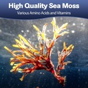 25-in-1-sea-moss-black-seed-oil-ashwagan-3.jpg
