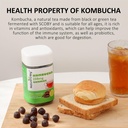 natures-key-kombucha-gummies-for-digesti-3.jpg