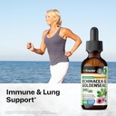 echinacea-with-goldenseal-tincture-2-fl--2.jpg