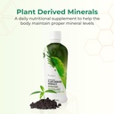 youngevity-plant-derived-minerals-multi--2.jpg
