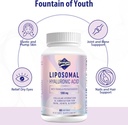 liposomal-hyaluronic-acid-supplements-10-6.jpg