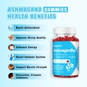 2-pack-ashwagandha-gummies-with-l-theani-3.jpg